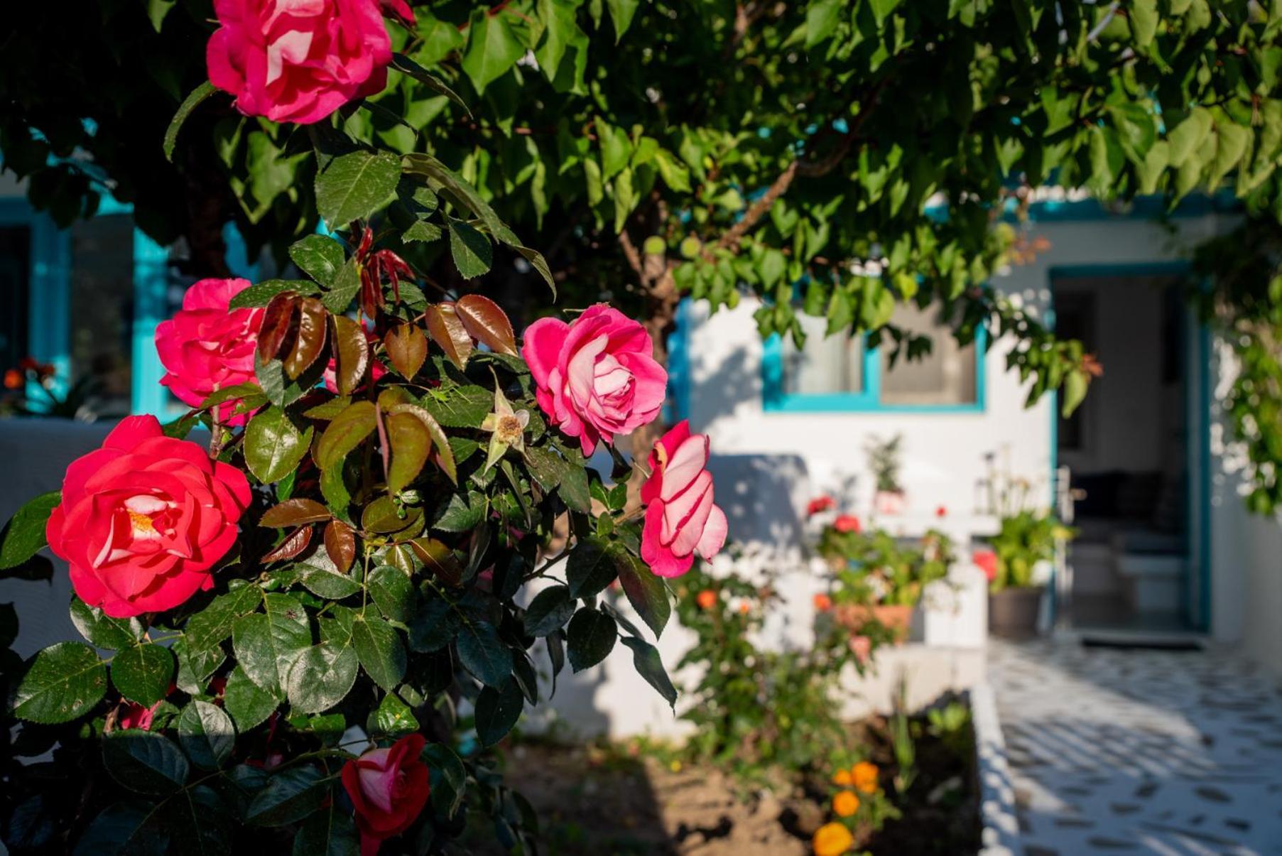 Azzurro Naxos, Azzurro I - Azzurro II - Azzurro III Lägenhet Naxos City Exteriör bild